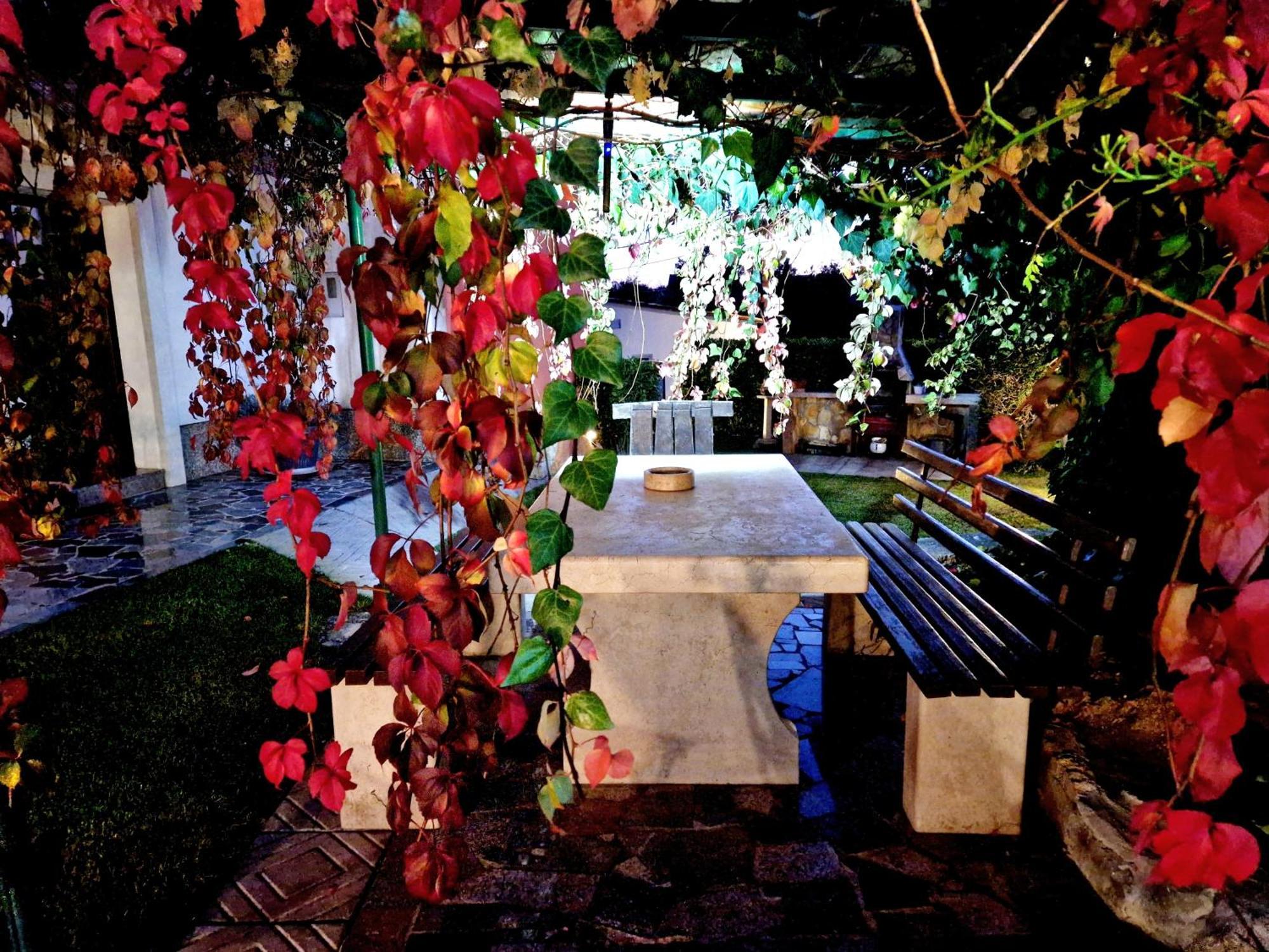Vila Casa Luana Roč Exteriér fotografie